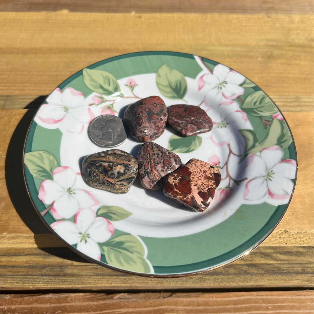 Tumbled Leopard Jasper