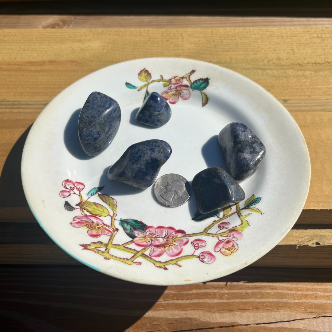 Sodalite Tumbled