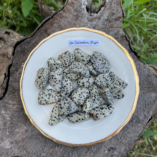 Small Tumbled Dalmatian Jasper