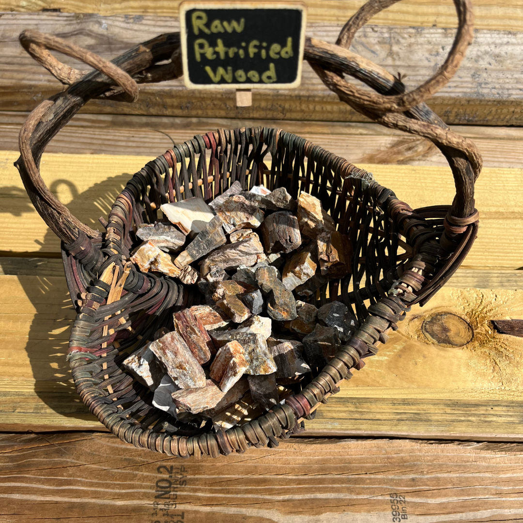 Petrified Wood Rough Form