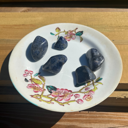 Sodalite Tumbled